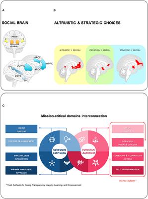 Giving behavior and social decision-making in the age of conscious capitalism: A case for neuroscience